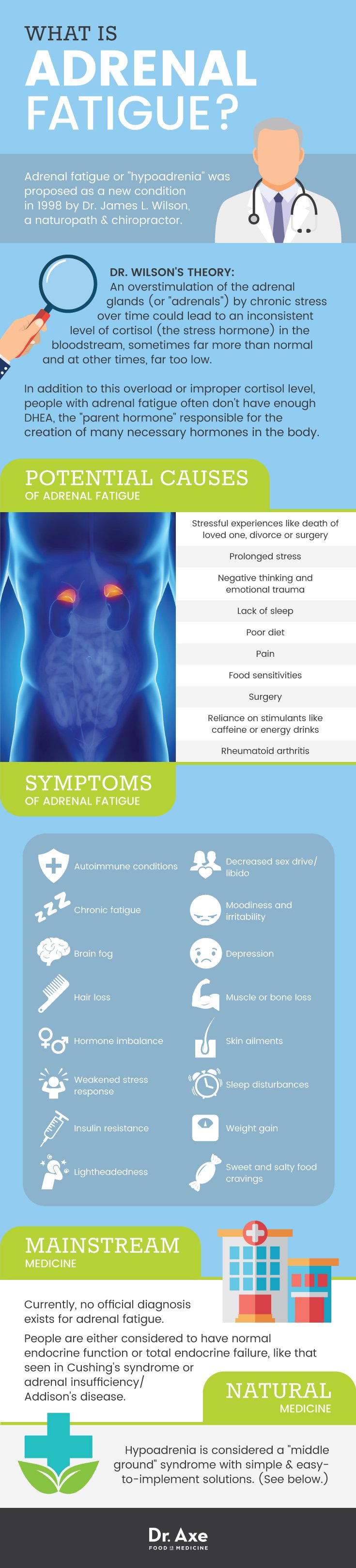 adrenal fatigue overview