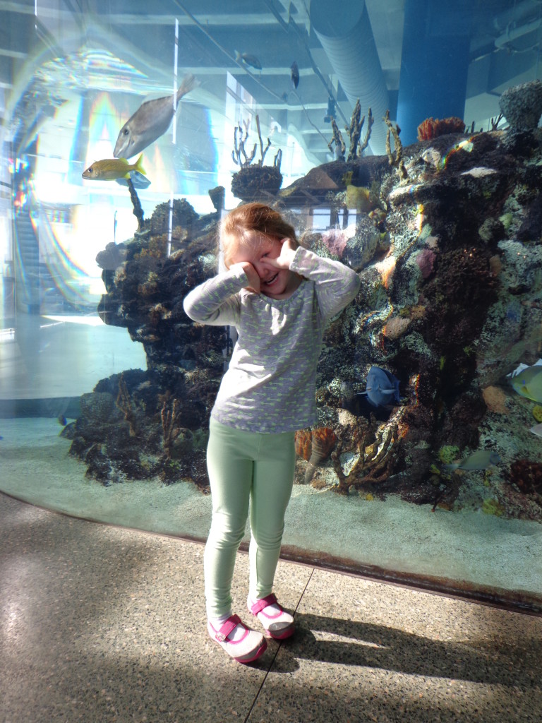 SC Aquarium fish tank #fish #aquarium