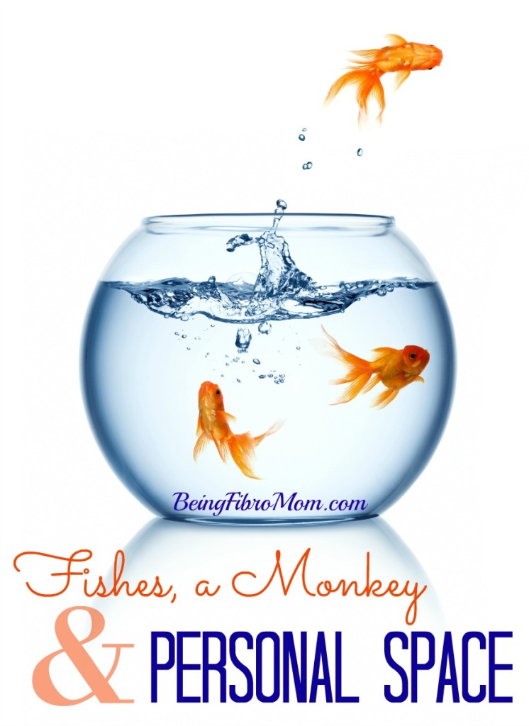 Fishes, a Monkey, & Personal Space #fishes #monkey #personalspace