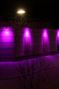 purple porch lights