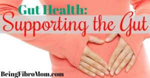 Gut Health: Supporting the Gut #guthealth #beingfibromom