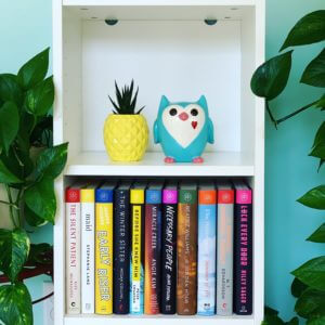 Brandi's Book Corner Book of the Month Club shelf. #BrandisBookCorner #bookofthemonth