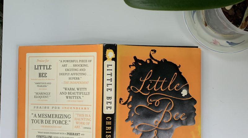 Little Bee by Chris Cleave #littlebee #bookreviews #brandisbookcorner #beingfibromom