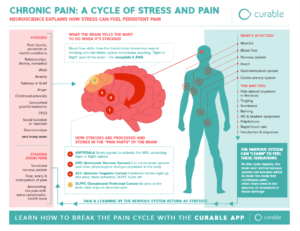 chronic pain: a cycle of stress and pain #chronicpain #curable #beingfibromom #fibromyalgia